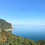 La Marisetta *
